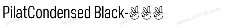 PilatCondensed Black字体转换